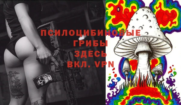бошки Горнозаводск