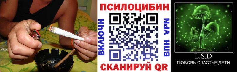 Галлюциногенные грибы GOLDEN TEACHER Игарка