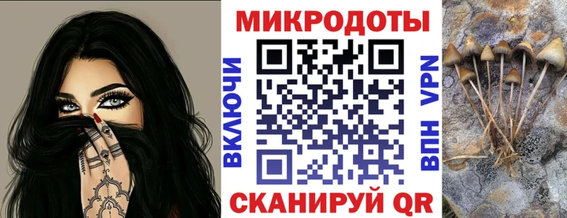 Купить где  Игарка  Галлюциногенные грибы GOLDEN TEACHER 
