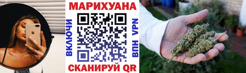 Купить где  Игарка  Конопля сатива 